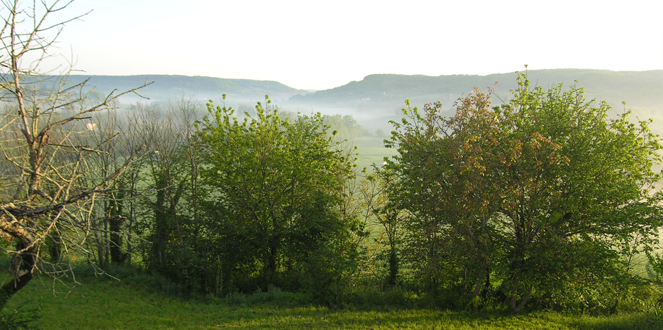 Der Morgennebel bleibt im Flusstal hängen.